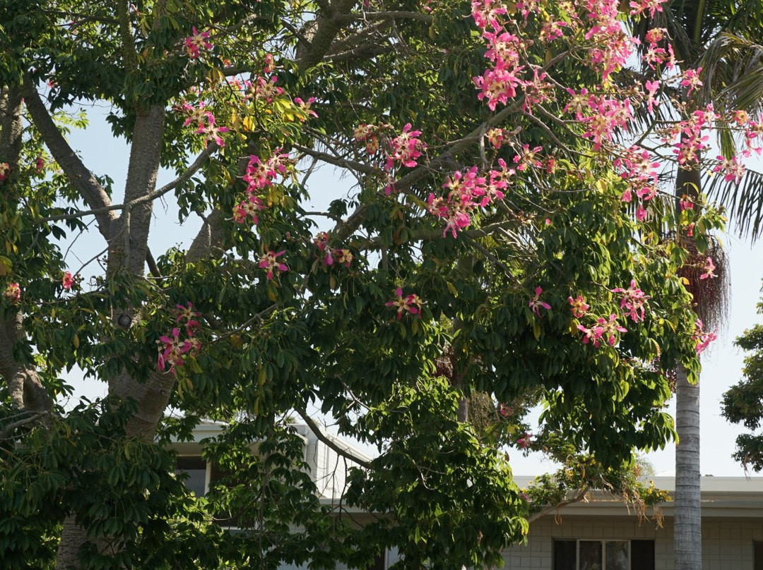 Prince of Peace Abbey-欧申赛德必去景点