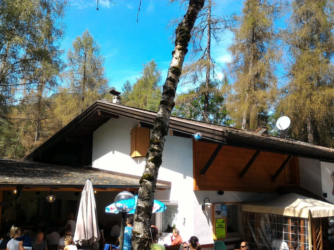 Valfloriana酒店住宿-La Pineta Albergo