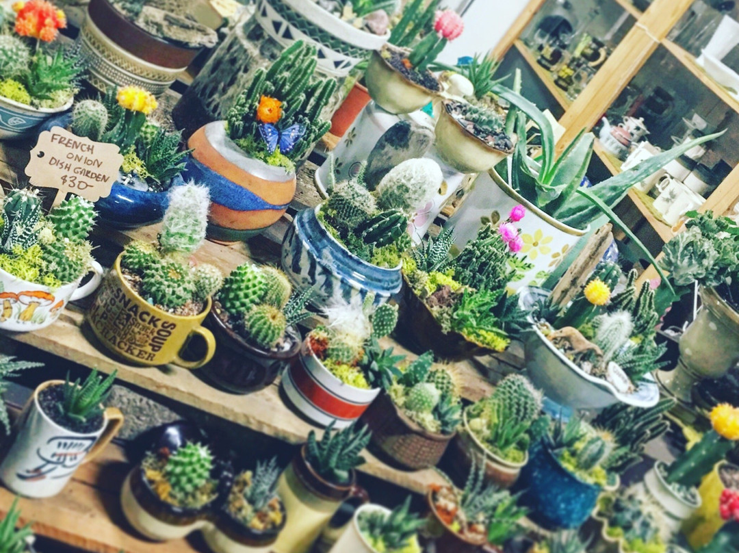 London's Farmers Market-伦敦必去景点