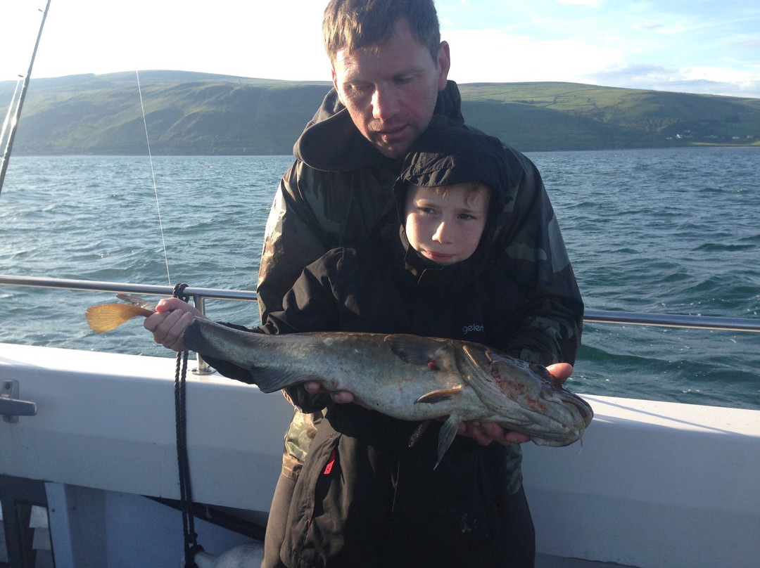 Barmouth Boat Trips景点图片