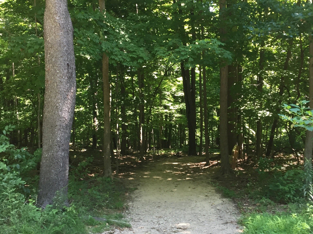 Liberty Park-特温斯堡必去景点