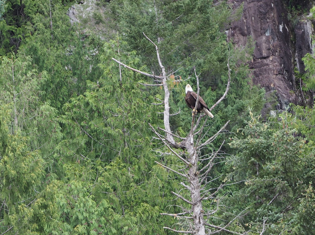 Harmony Islands Marine Provincial Park-阳光海岸必去景点