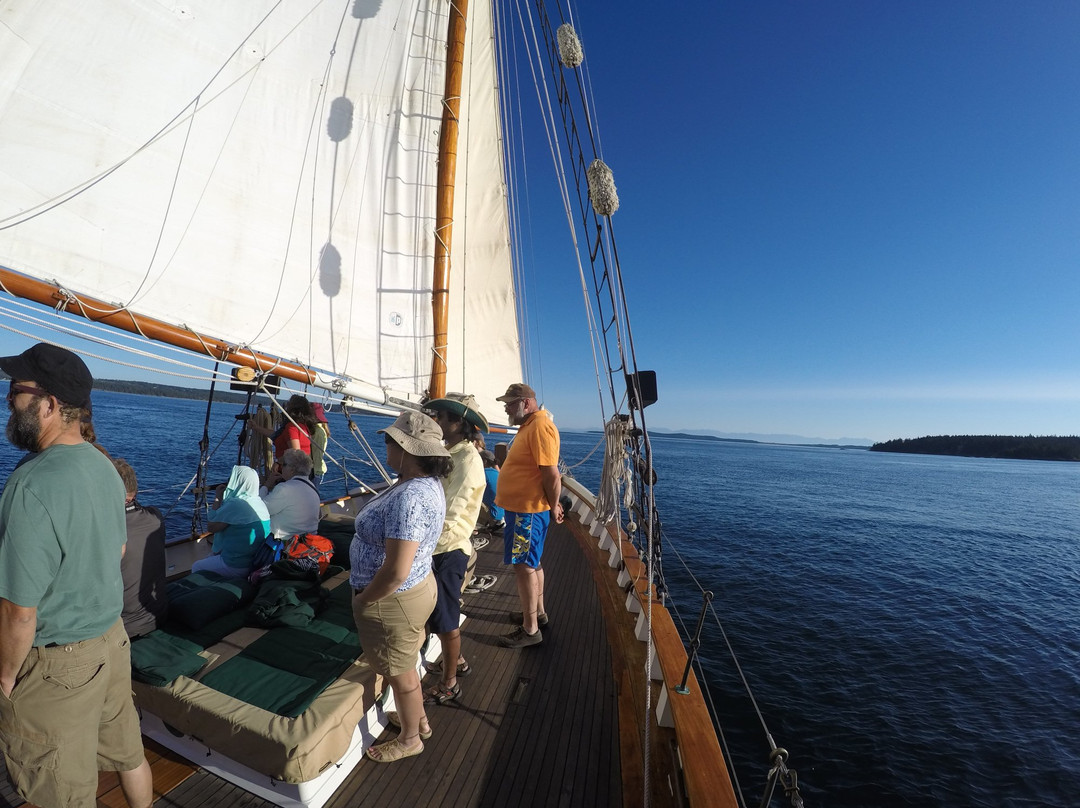 Schooners North景点图片