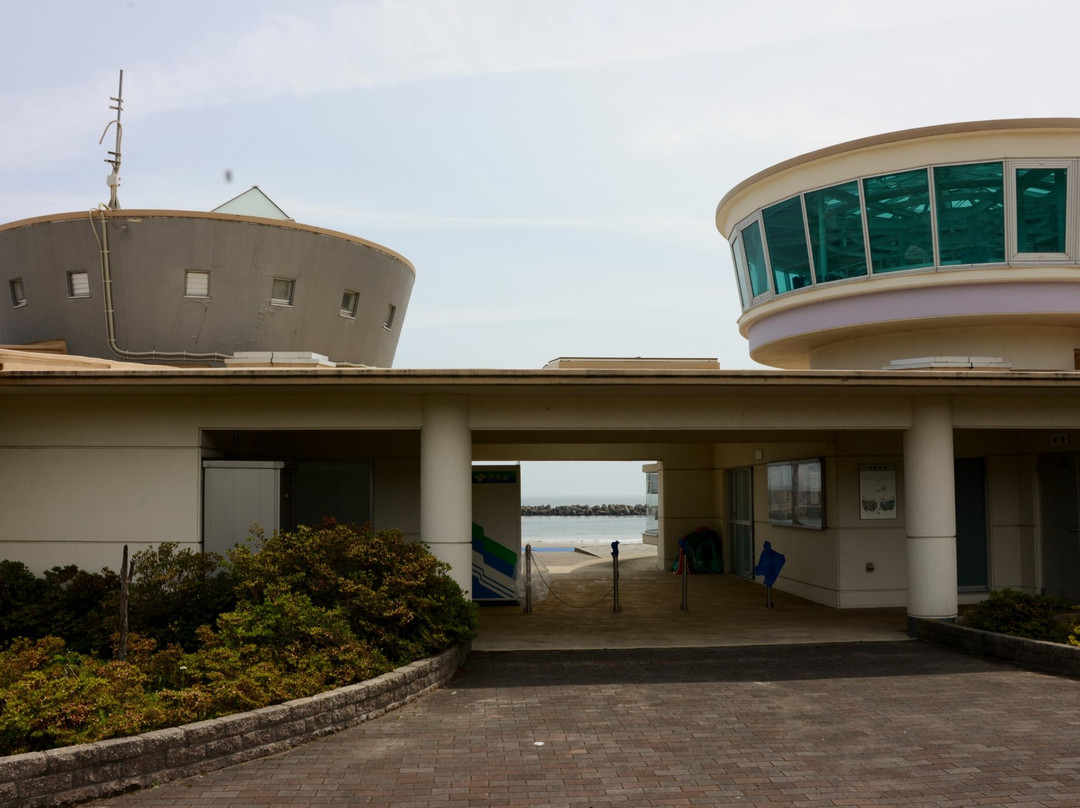 Taneichi Marine Side Park-广野町必去景点