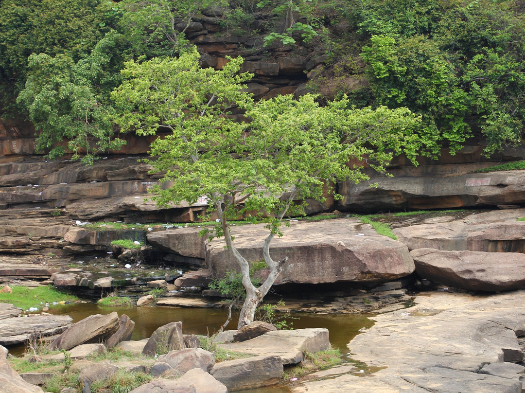 Wyndom Falls景点图片