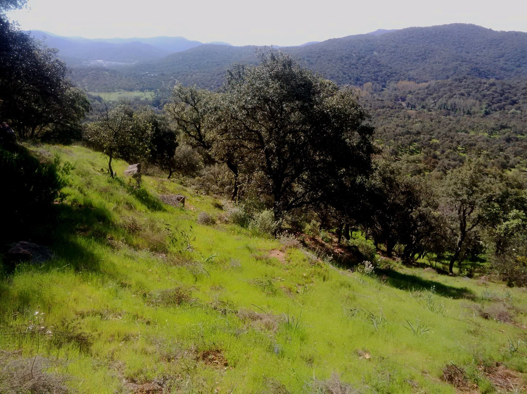 Finca Montefrio主图