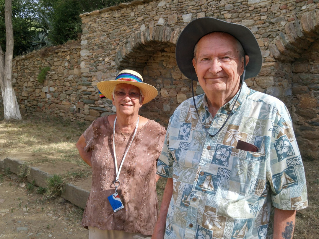 Ephesus Shuttle Private & Mini Group Shore Excursions-库萨达斯必去景点