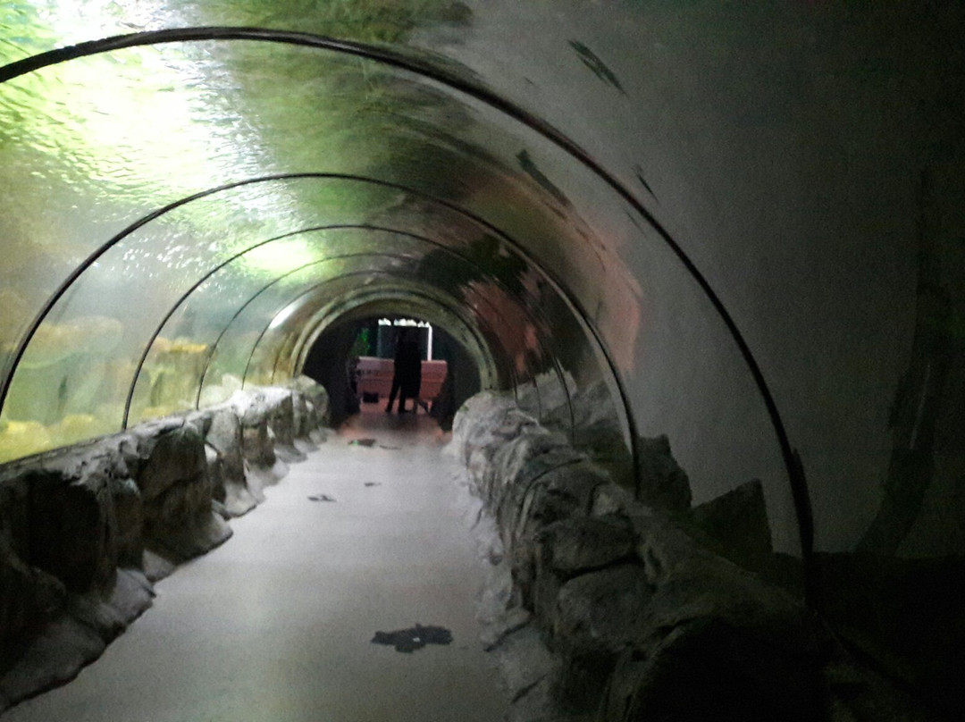 Deniz Dunyasi-安卡拉必去景点