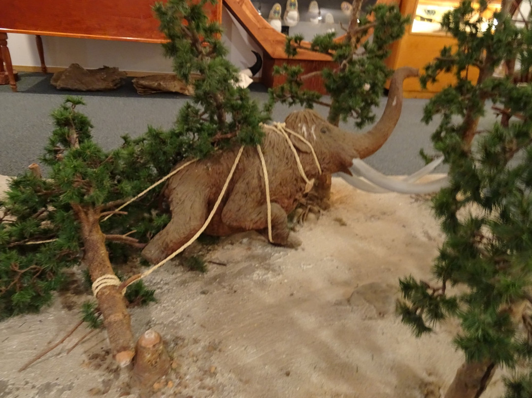 Tage Cho Hudan Interpretive Centre-Carmacks必去景点