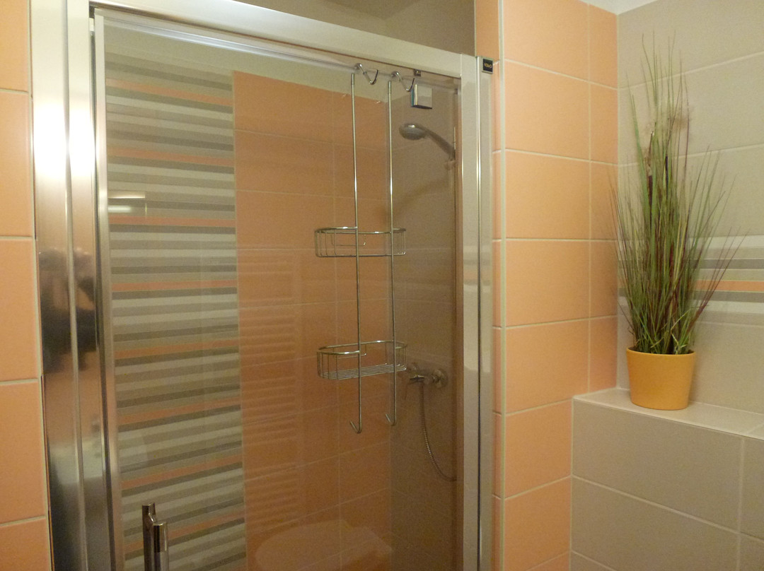 Accommodation at Janus- Ubytovanie U Janusa ***主图