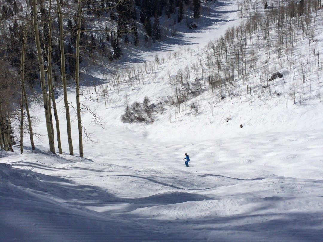 Mount Werner-斯廷博特斯普林斯必去景点