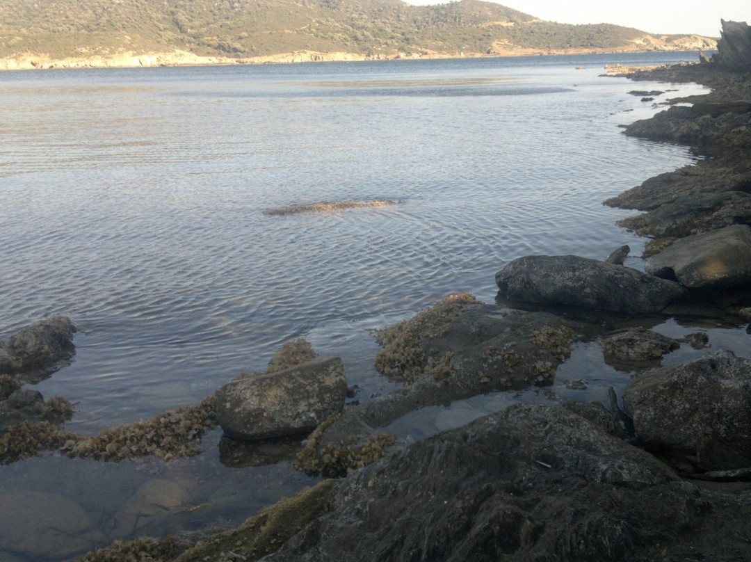 Spiaggia di Arboi-Domus de Maria必去景点