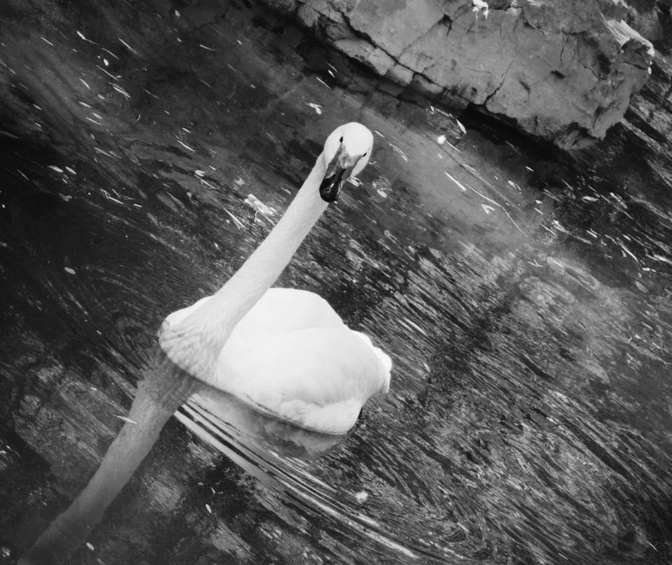 梁祝文化公园-宁波市必去景点