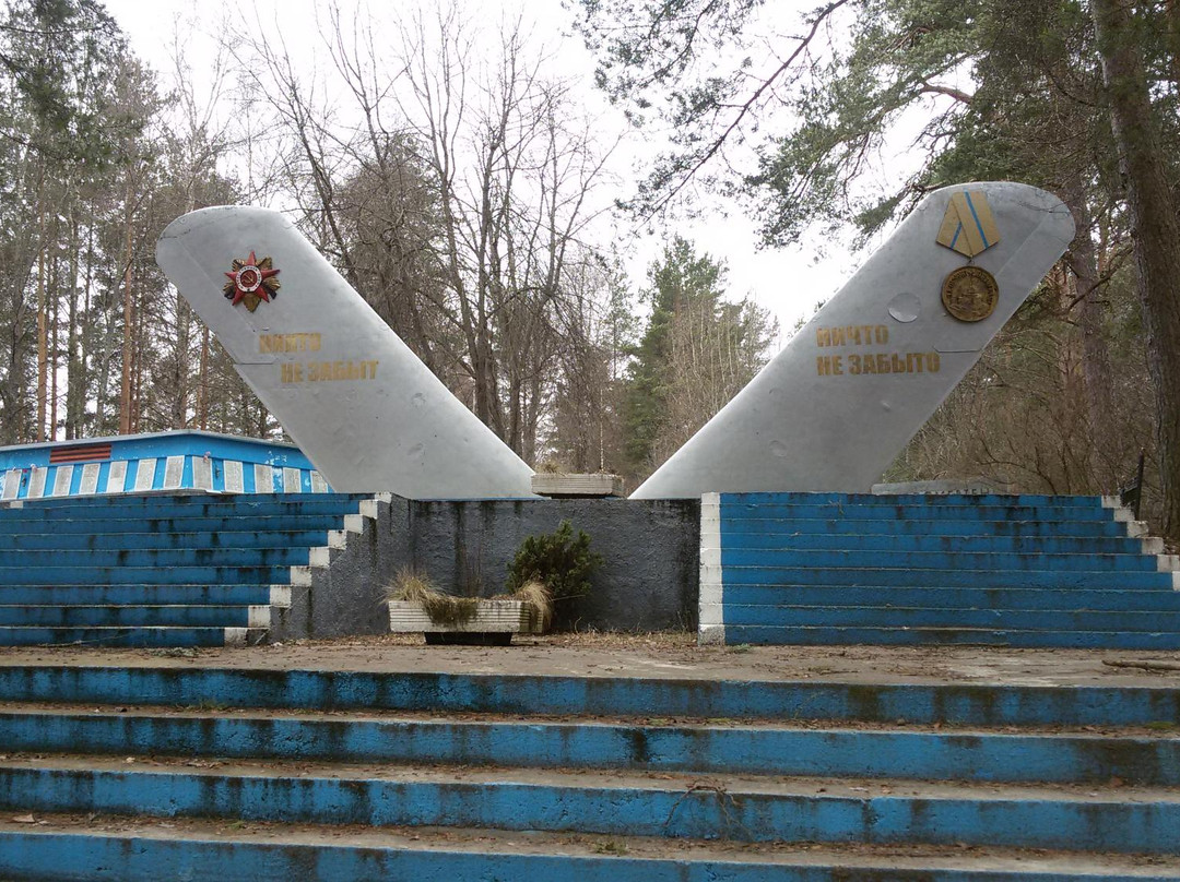 Military Memorial Borki景点图片