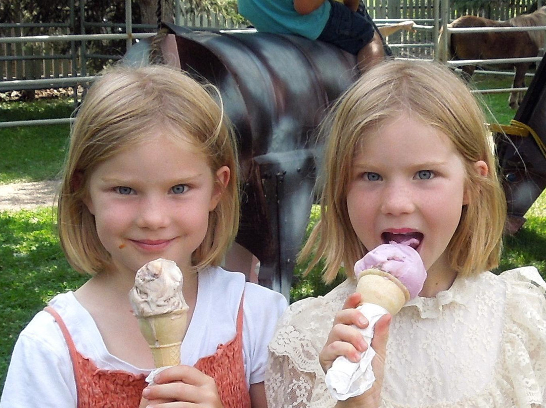 Historic Markerville Creamery Museum-Markerville必去景点