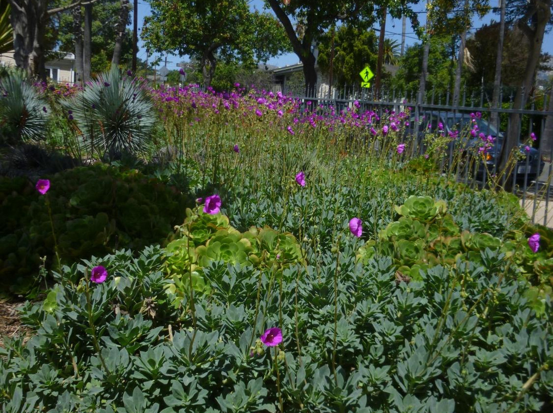 Alice Keck Park Memorial Gardens-圣巴巴拉必去景点