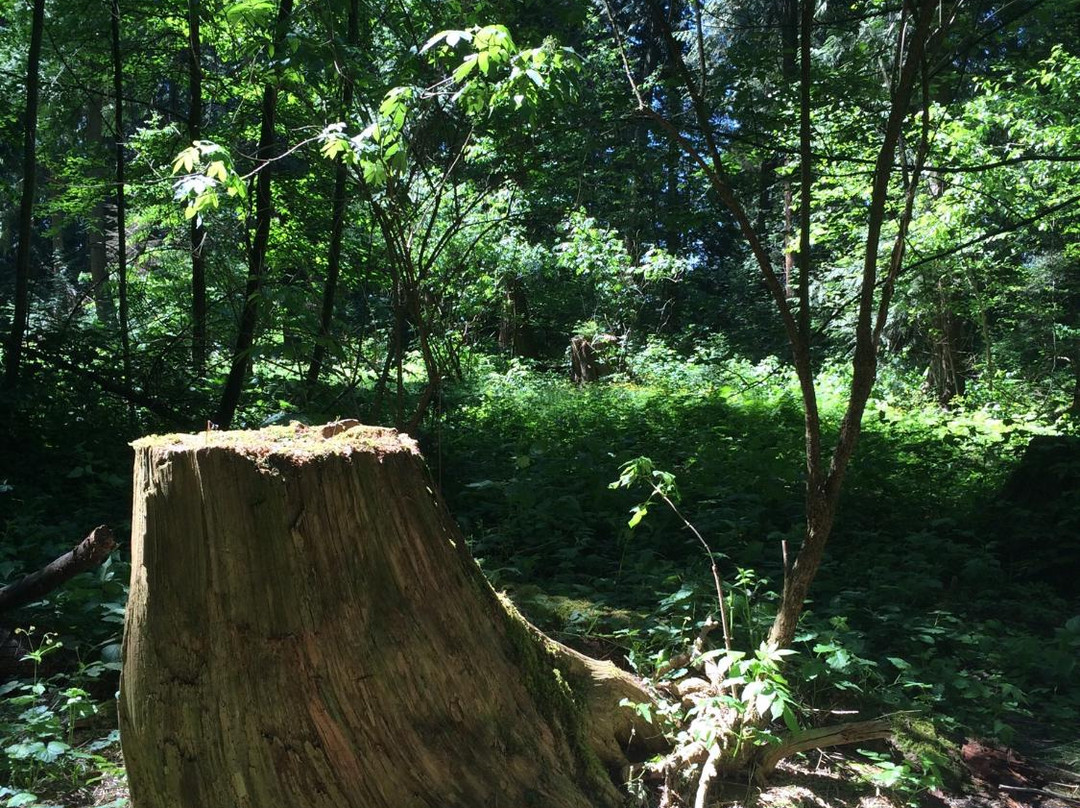 Hoffman Park-匹特草原必去景点