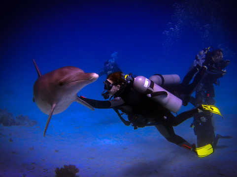 Nurkowanie Hurghada - Polskie Centrum Nurkowe