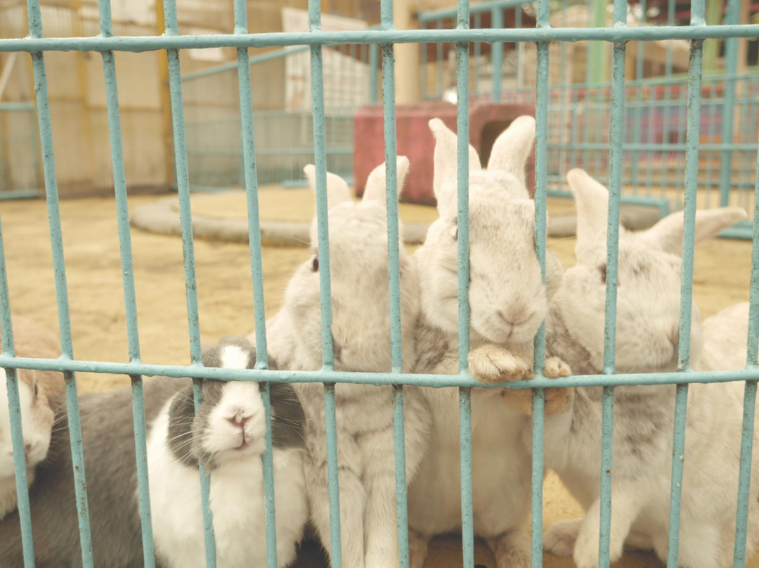 Yoro Land-养老町必去景点