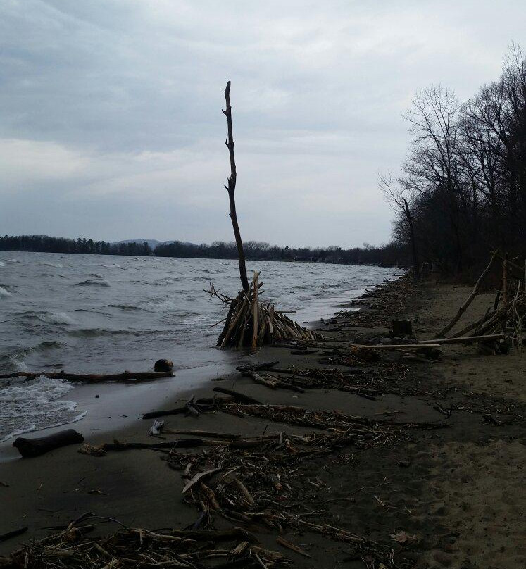 Leddy Park-伯灵顿必去景点