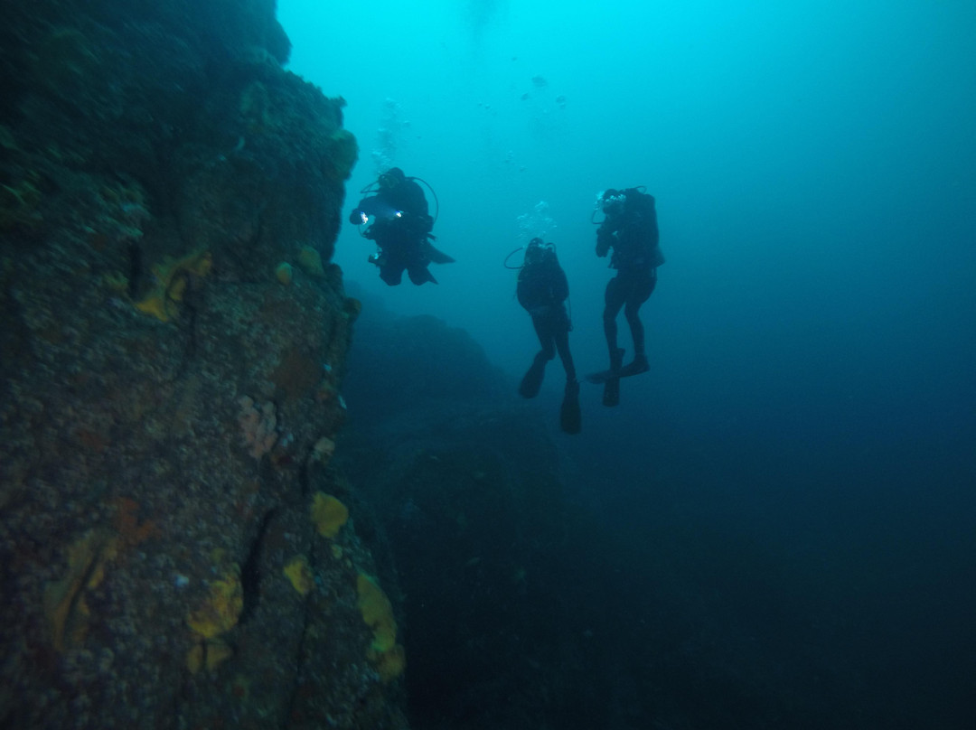 ODC Buceo-Pichidangui必去景点