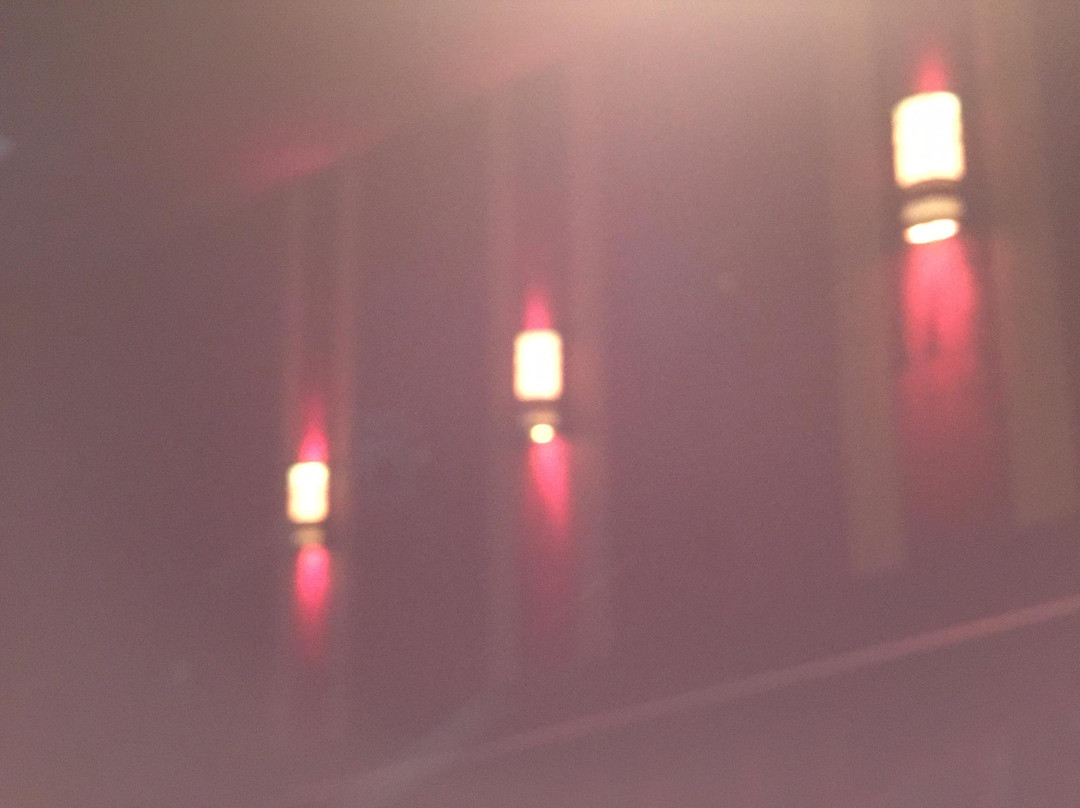 Regal Edwards Greenway Grand Palace-休斯顿必去景点