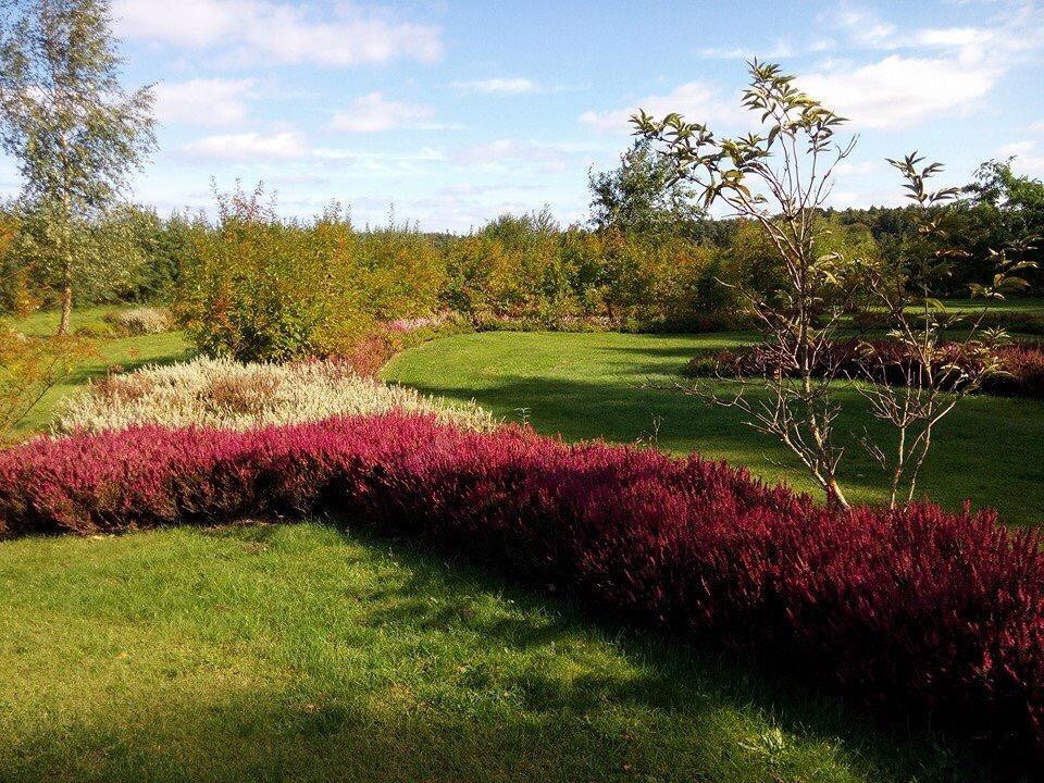 Botanical Garden Mellenthin景点图片