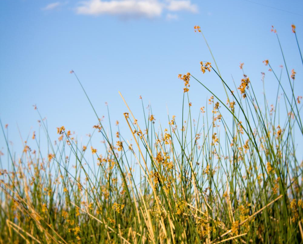 布劳尼格湖-圣安东尼奥市必去景点