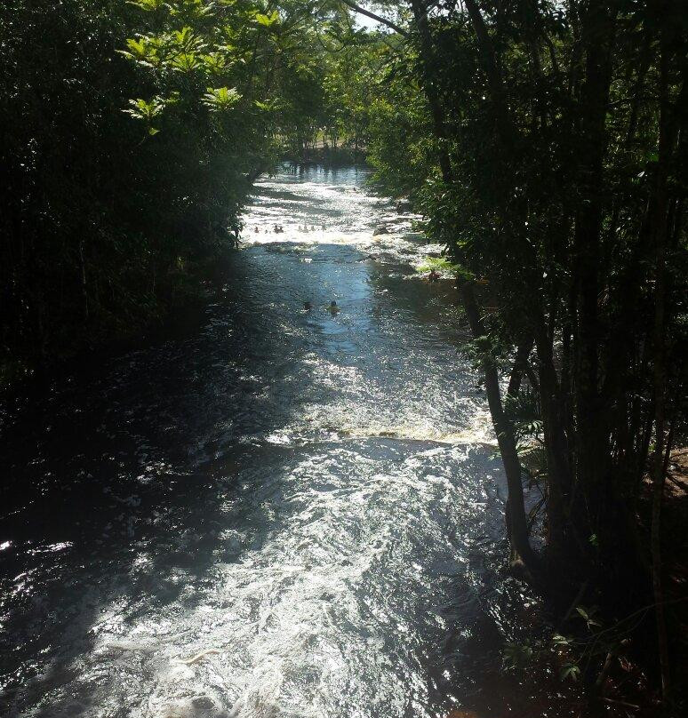 Cachoeira dos Passaros景点图片