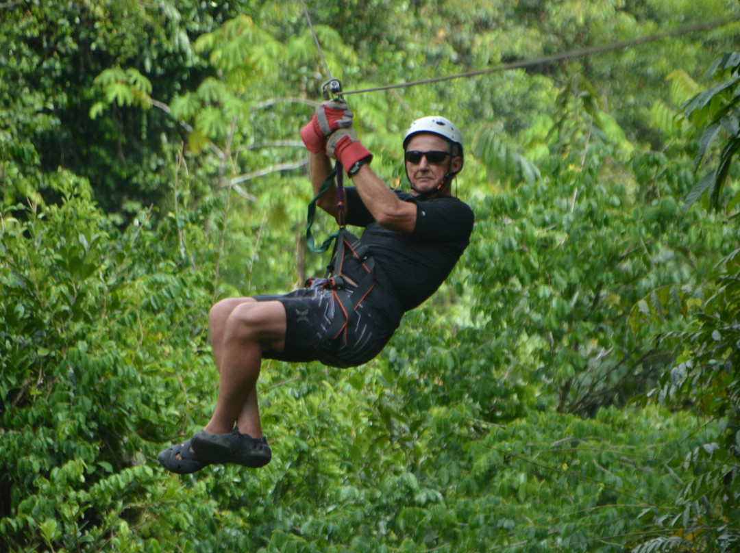 Safari Tours景点图片