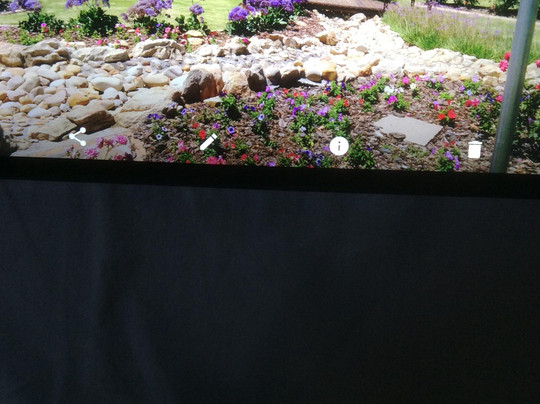 Durbanville Rose Garden-Durbanville Hills必去景点