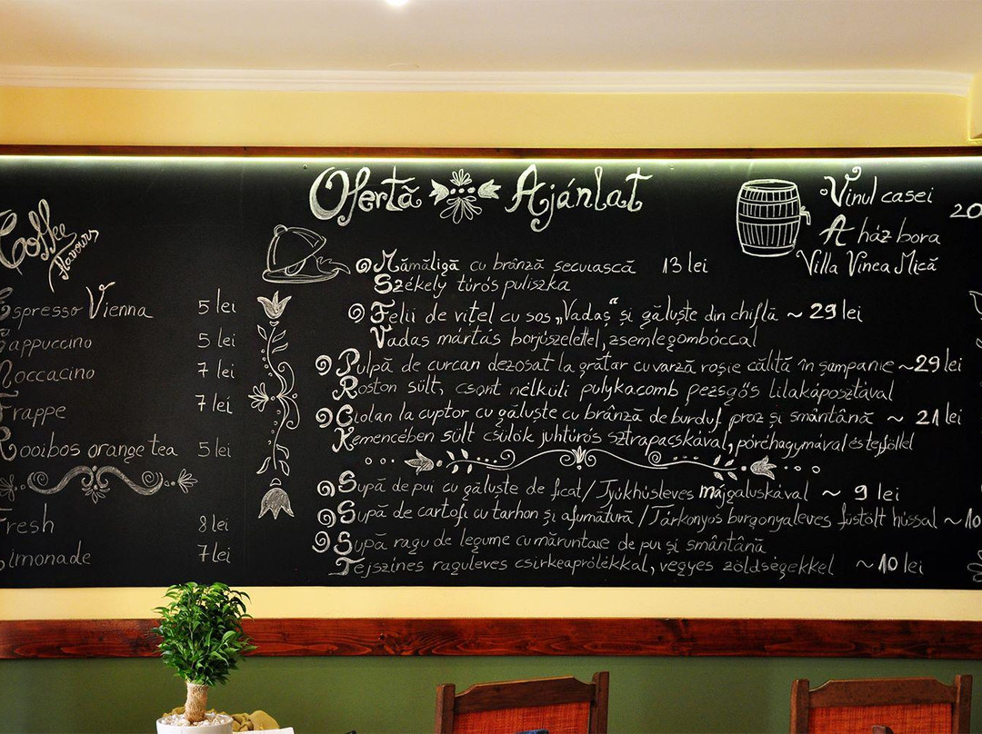 White Horse Pensiunea主图