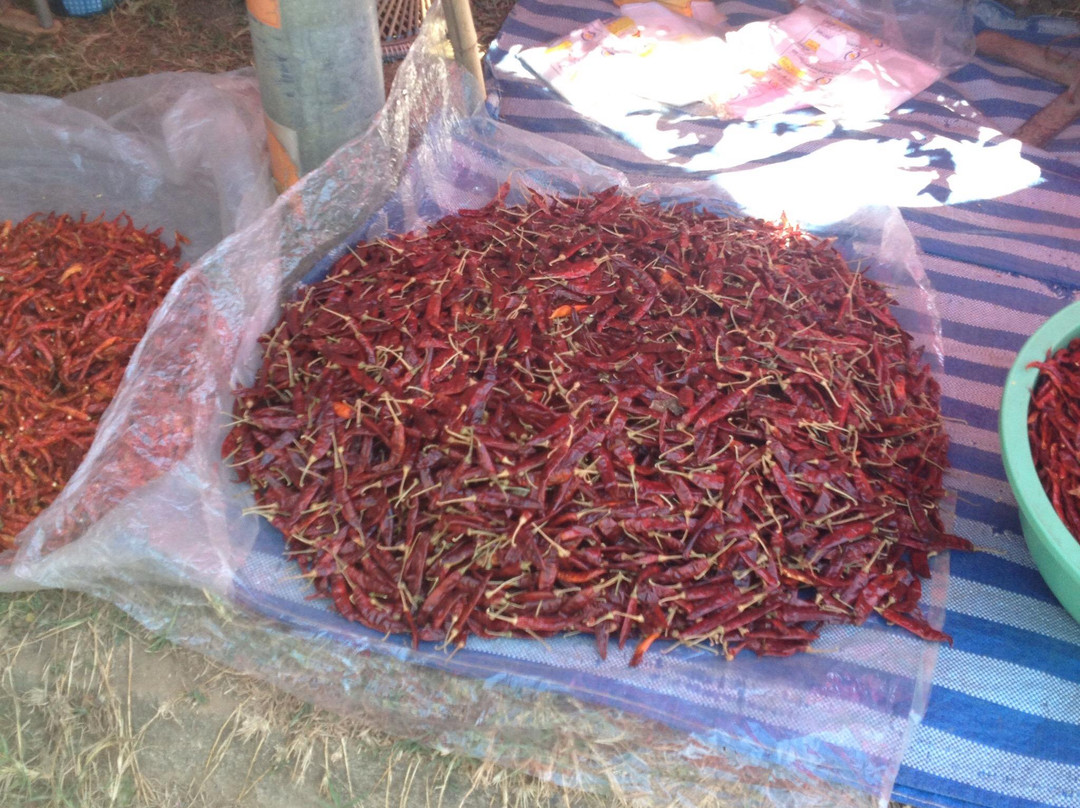 Chiang Dao Market-清佬必去景点