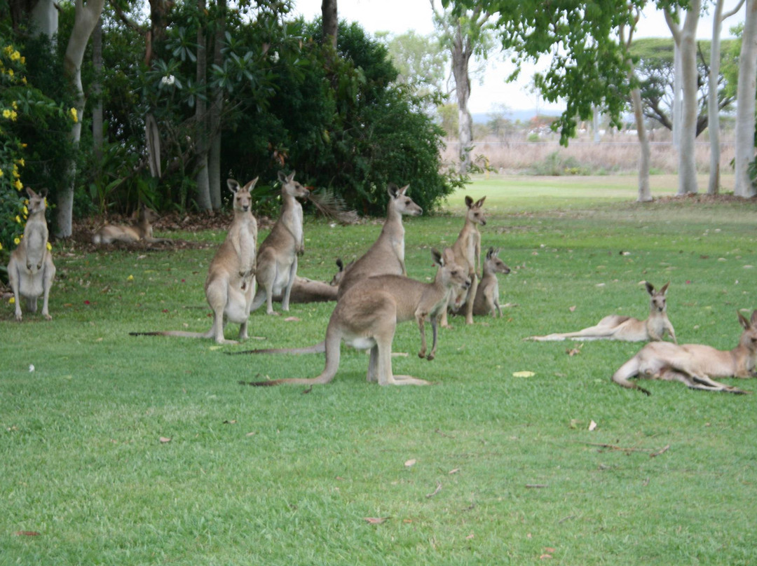 Mareeba Golf Club-马里巴必去景点