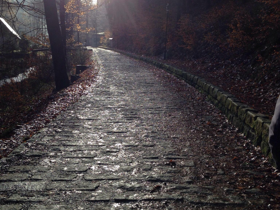 Hotel Erbgericht主图