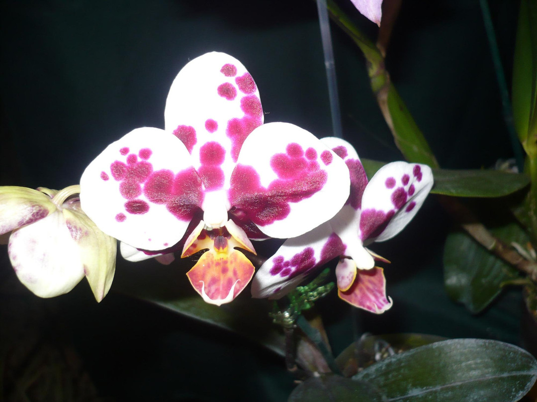 洛斯艾勒洛斯主题公园-梅里达市必去景点