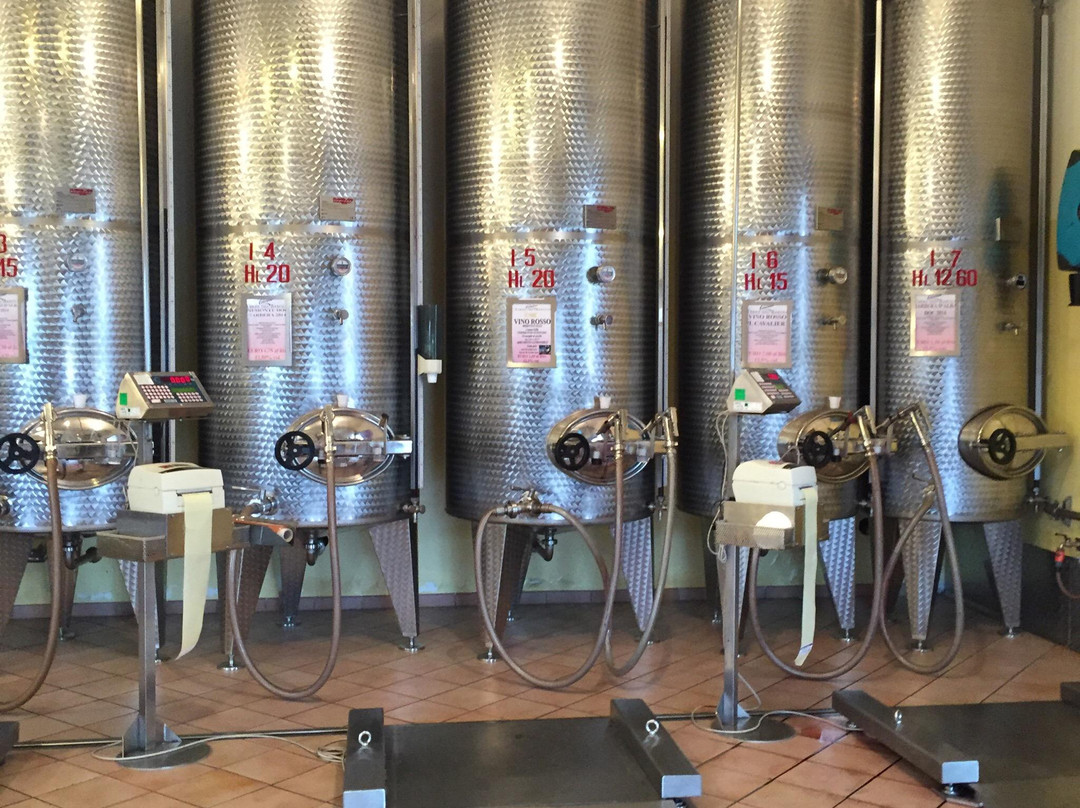 Cantina Terre del Barolo-Castiglione Falletto必去景点