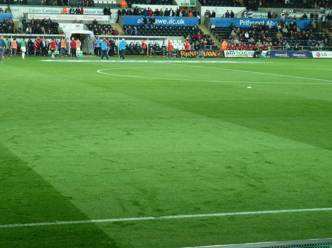 Liberty Stadium景点图片