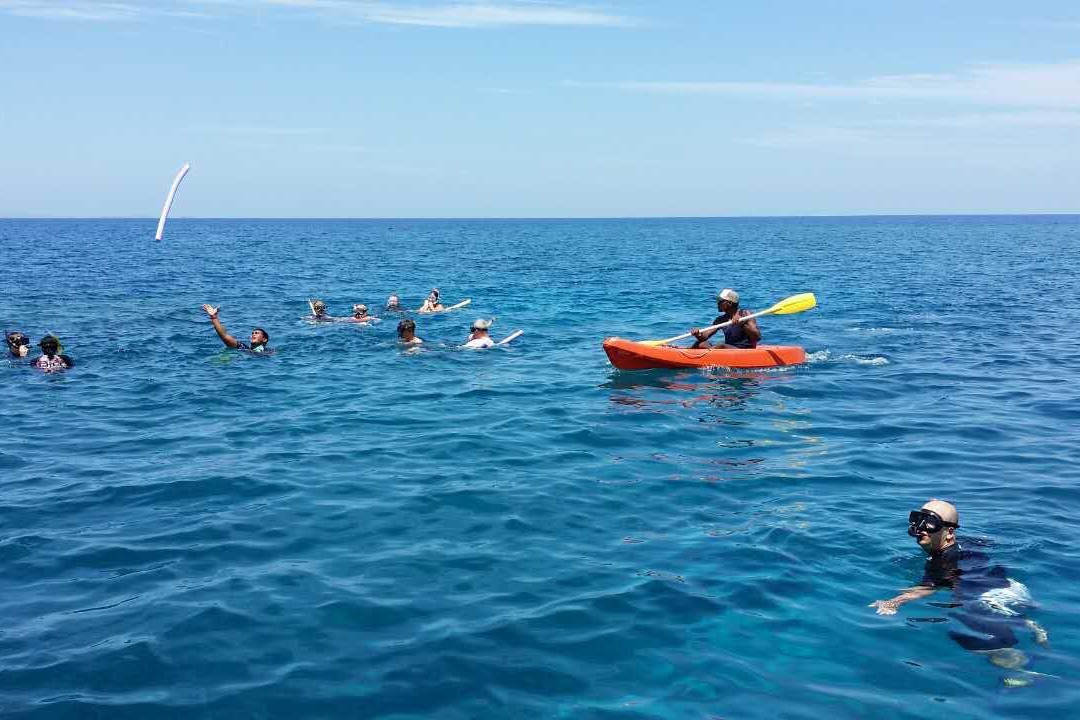 Storck Cruises Day Cruise景点图片