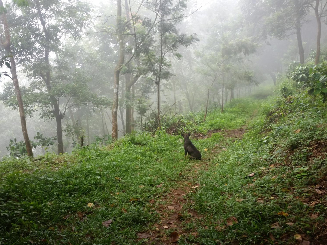Kumaragiri Farm & Nature Camp-Malappuram必去景点