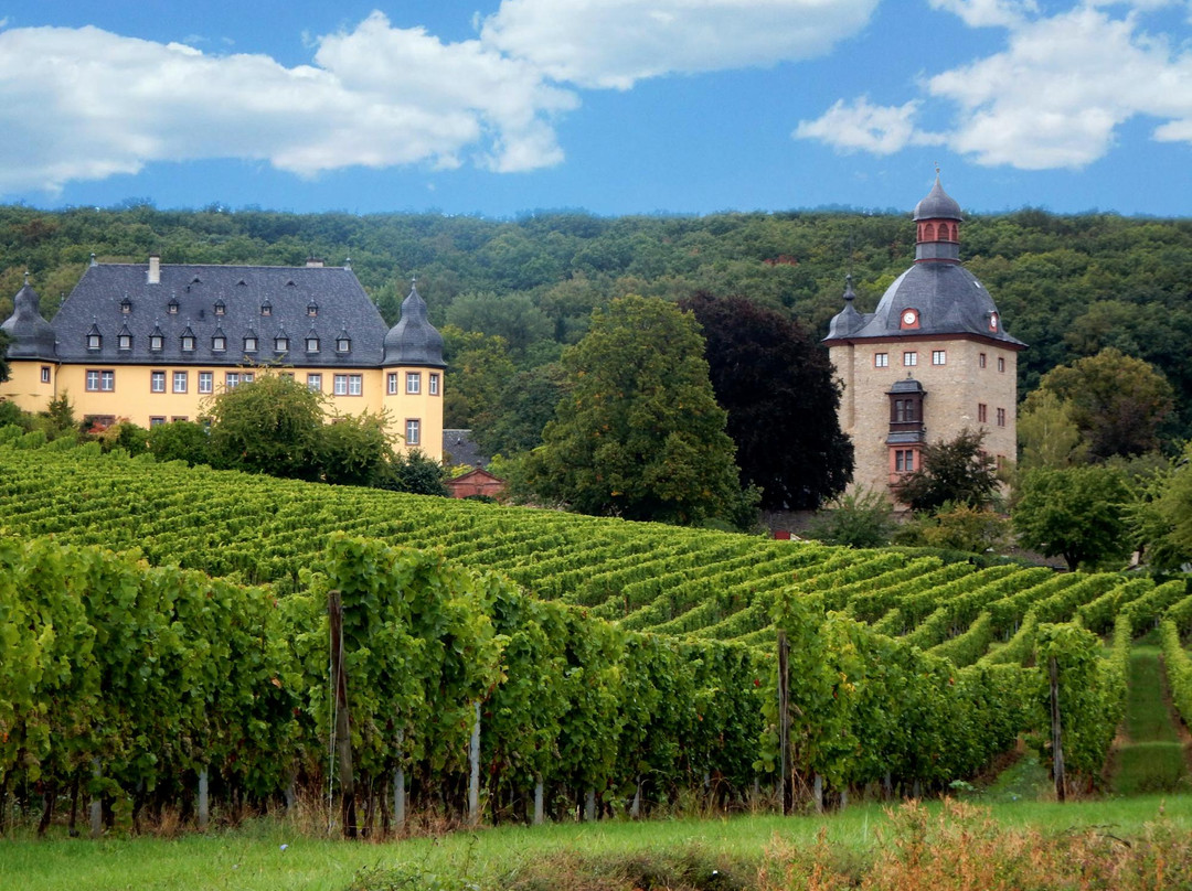 Weingut Schloss Vollrads景点图片