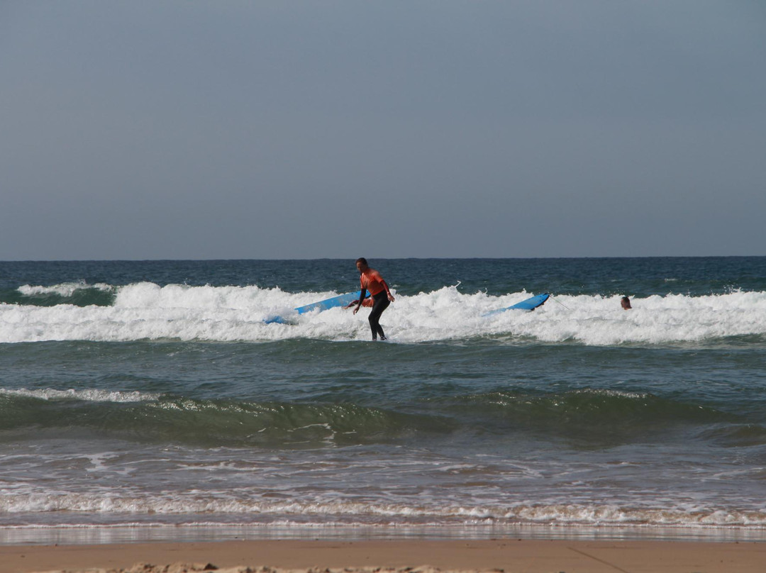 Trafalgar Surf School-Conil de la Frontera必去景点