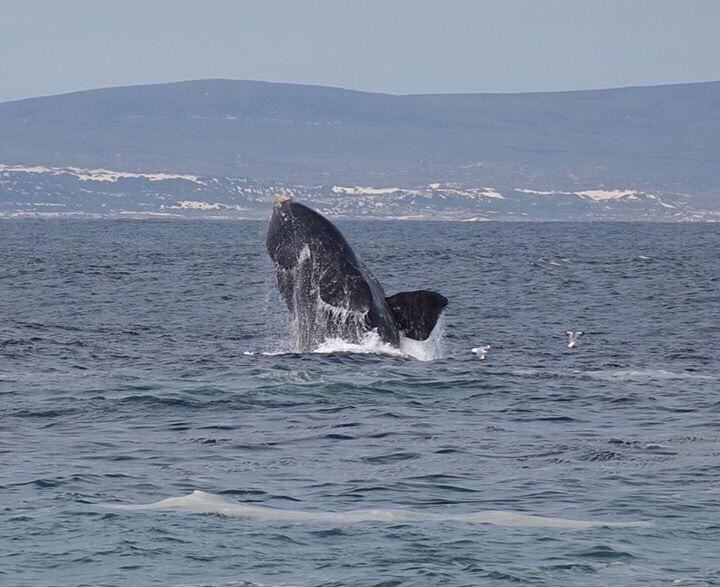 Jorvan Tours-Mitchell's Plein必去景点