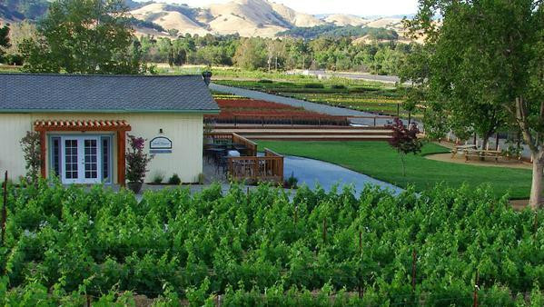 Sarah's Vineyard-吉尔罗伊必去景点