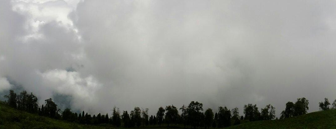 Temi Tea Garden-Temi必去景点