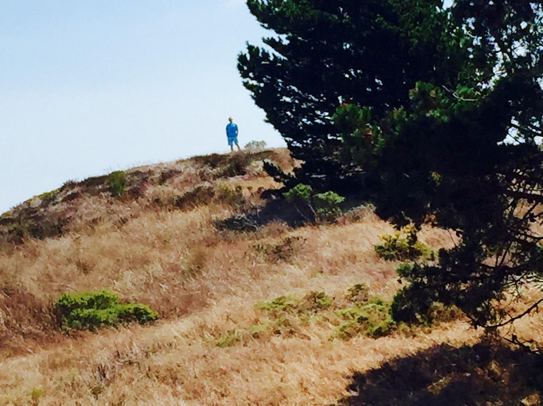 San Bruno Mountain-圣布鲁诺必去景点