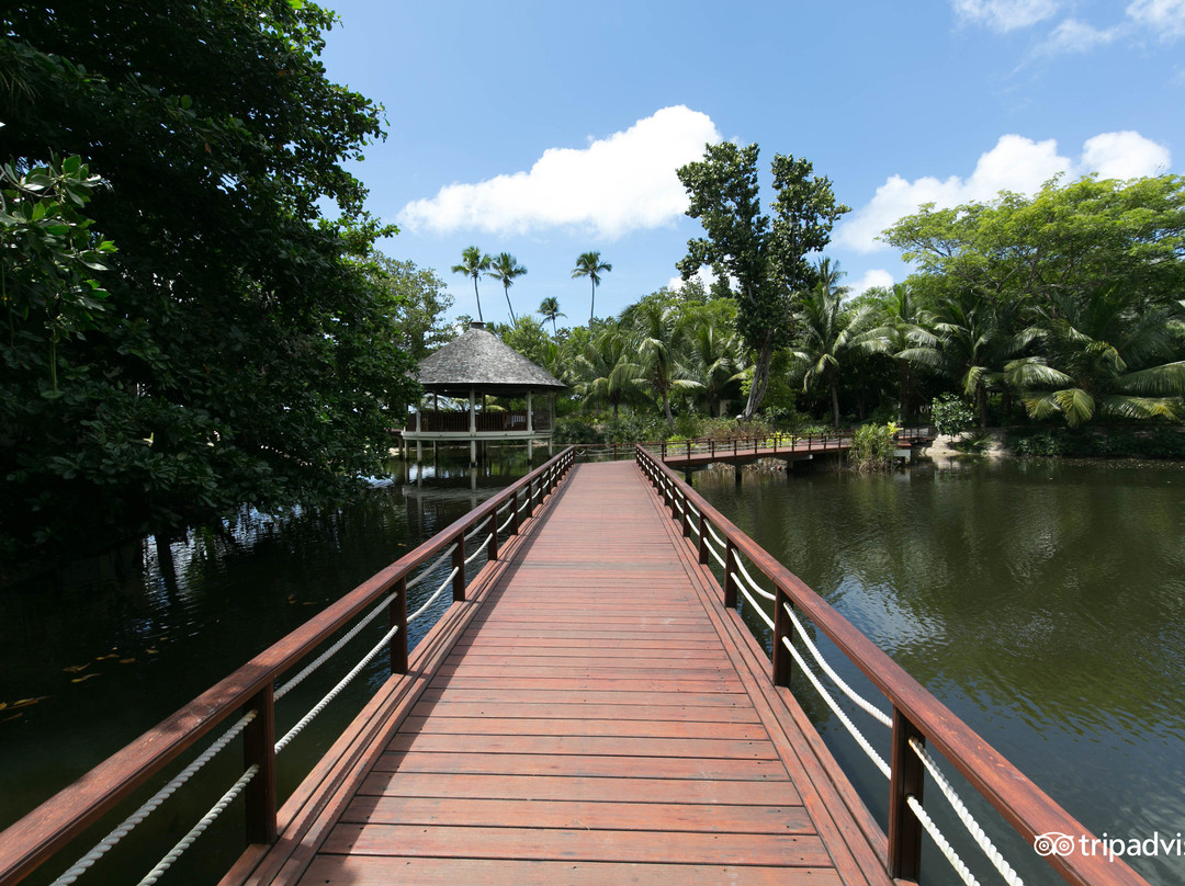 塞舌尔酒店住宿-塞舌尔拉布瑞思希尔顿度假村