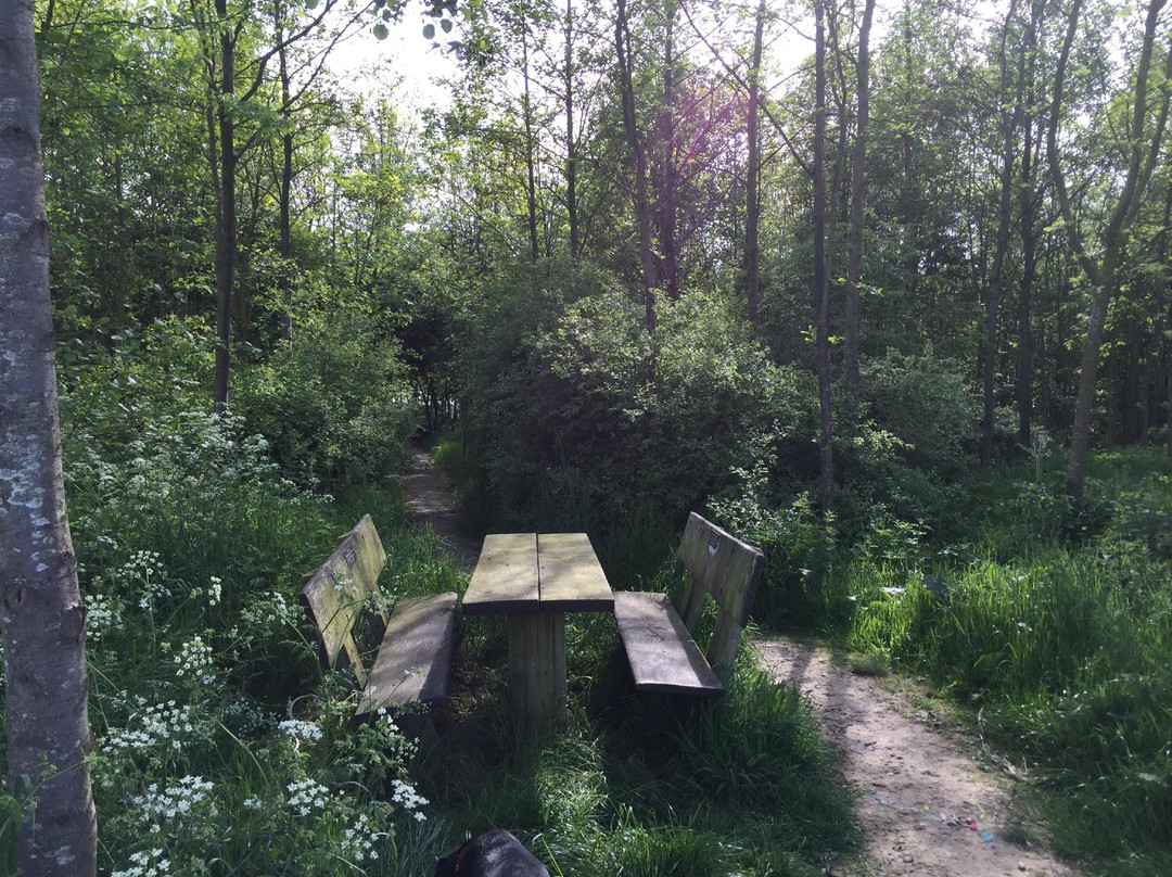 The Boston Woods Trust景点图片