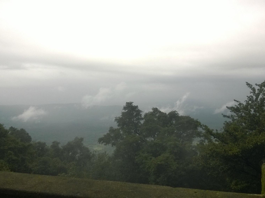 Agumbe Rainforest Research Station景点图片