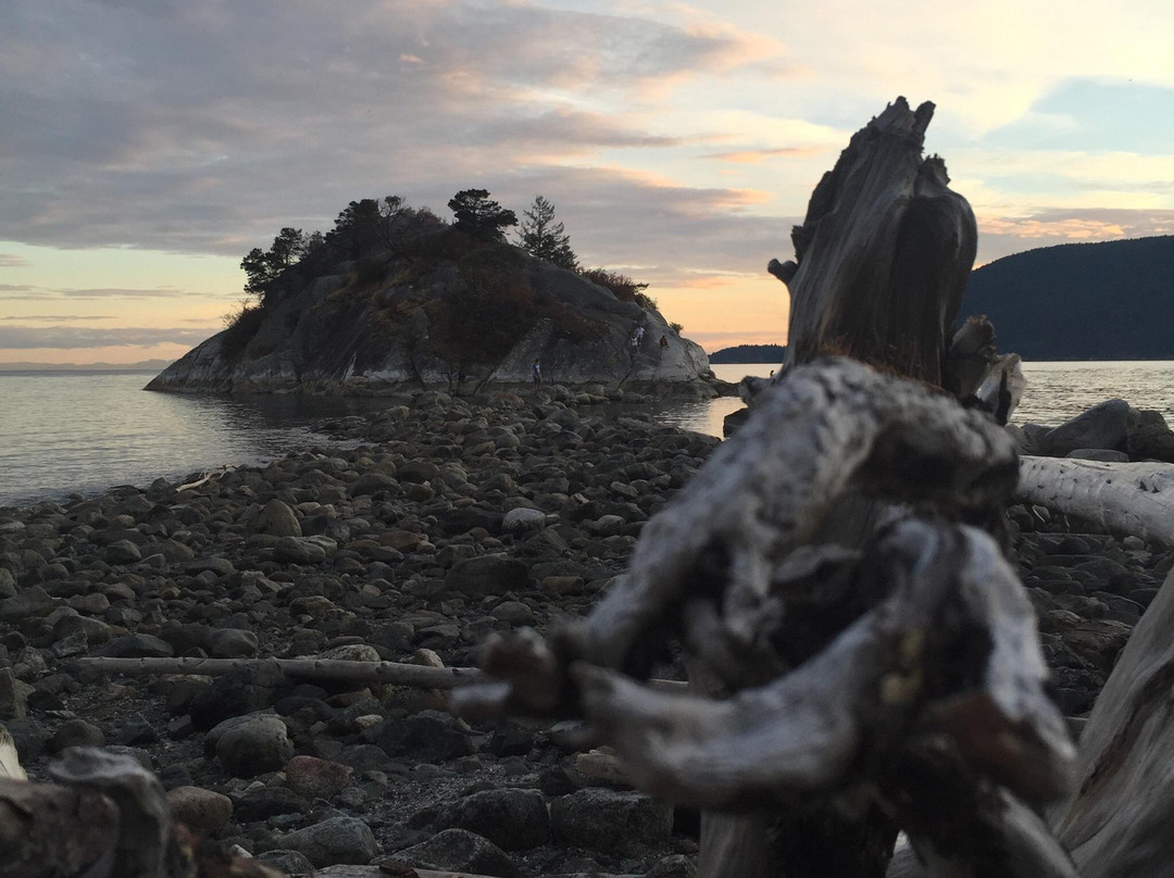 Whytecliff Park景点图片